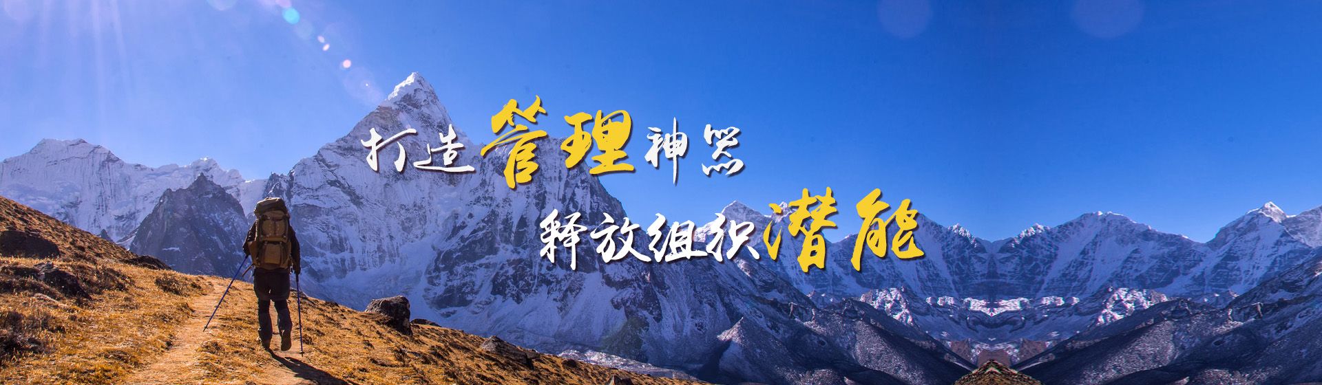OA软件